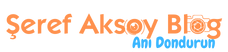 Şeref Aksoy Blog