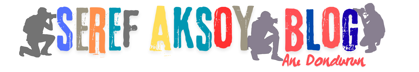 Seref Aksoy Blog
