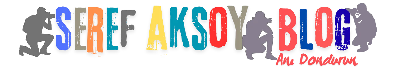 Seref Aksoy Blog
