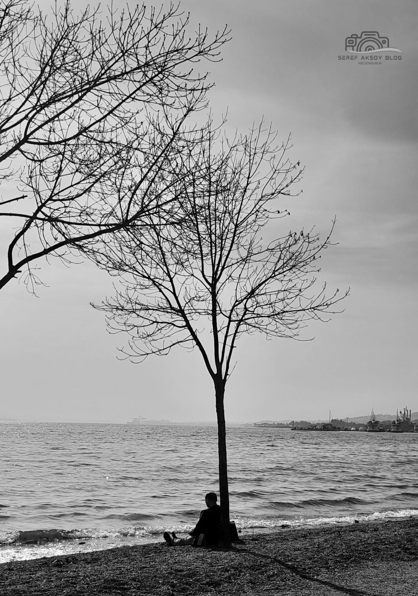 Fotoğraf: Rıza Aksoy